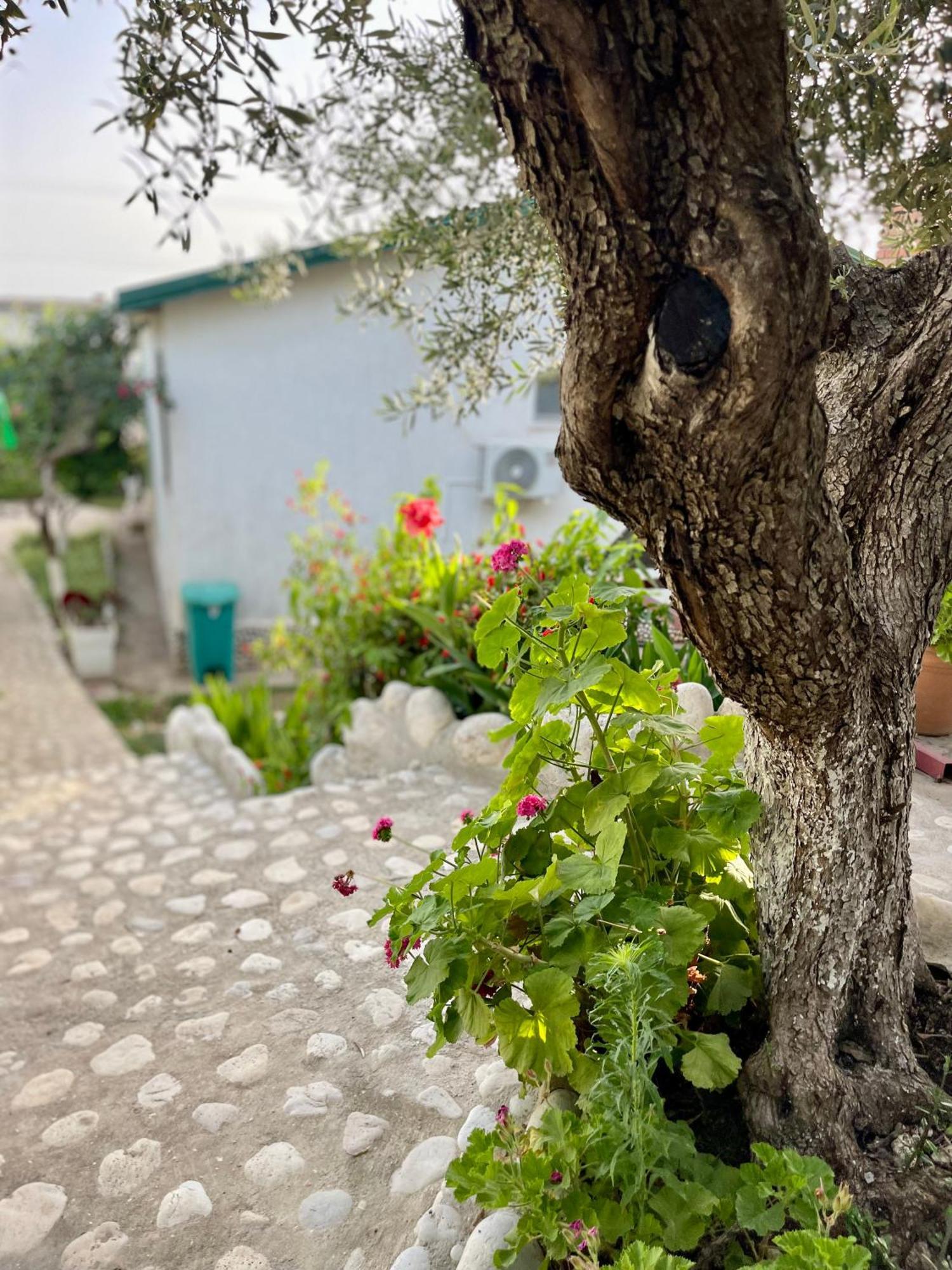 Chalet Ambel Dhërmi Kültér fotó