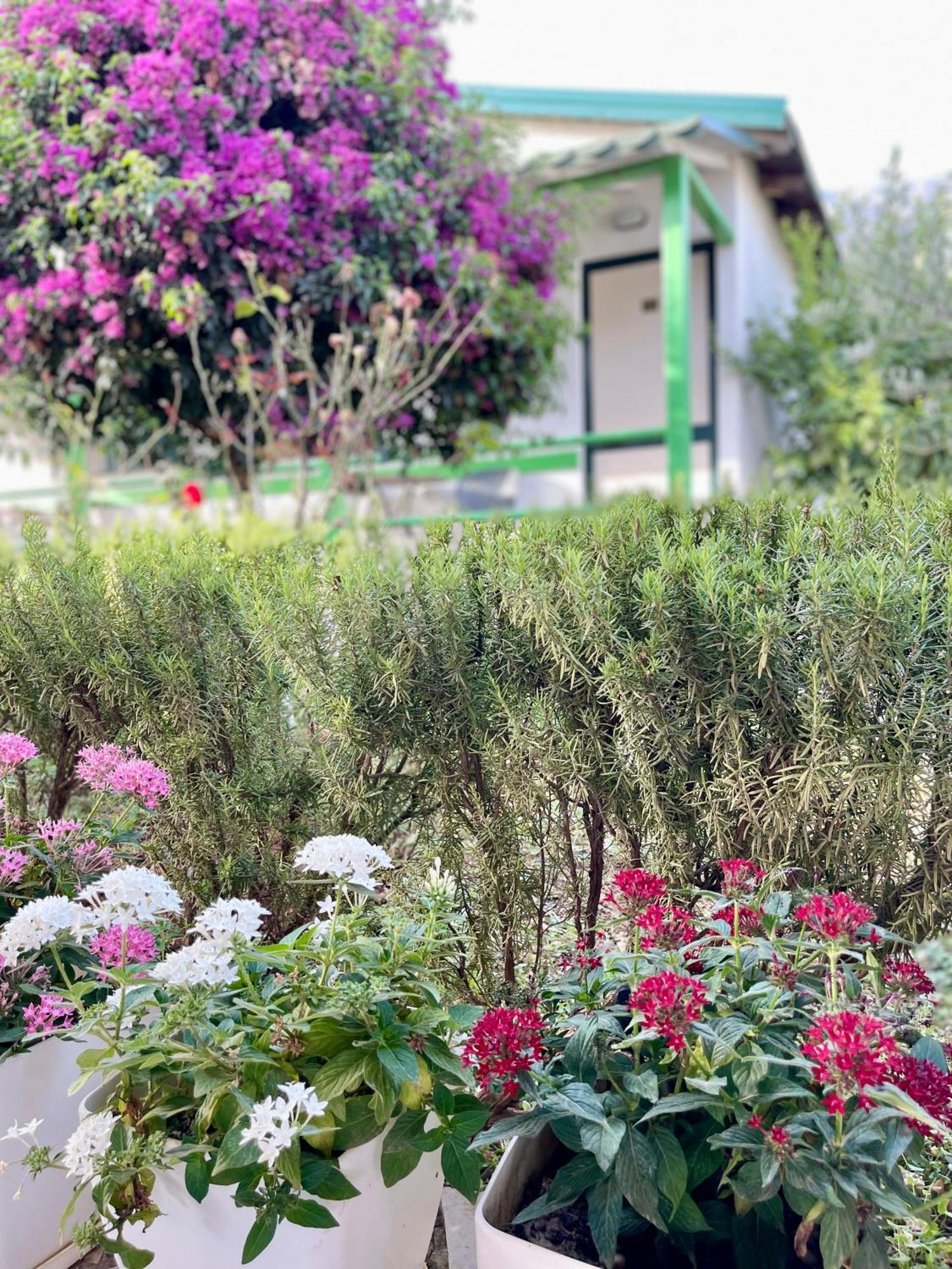 Chalet Ambel Dhërmi Kültér fotó