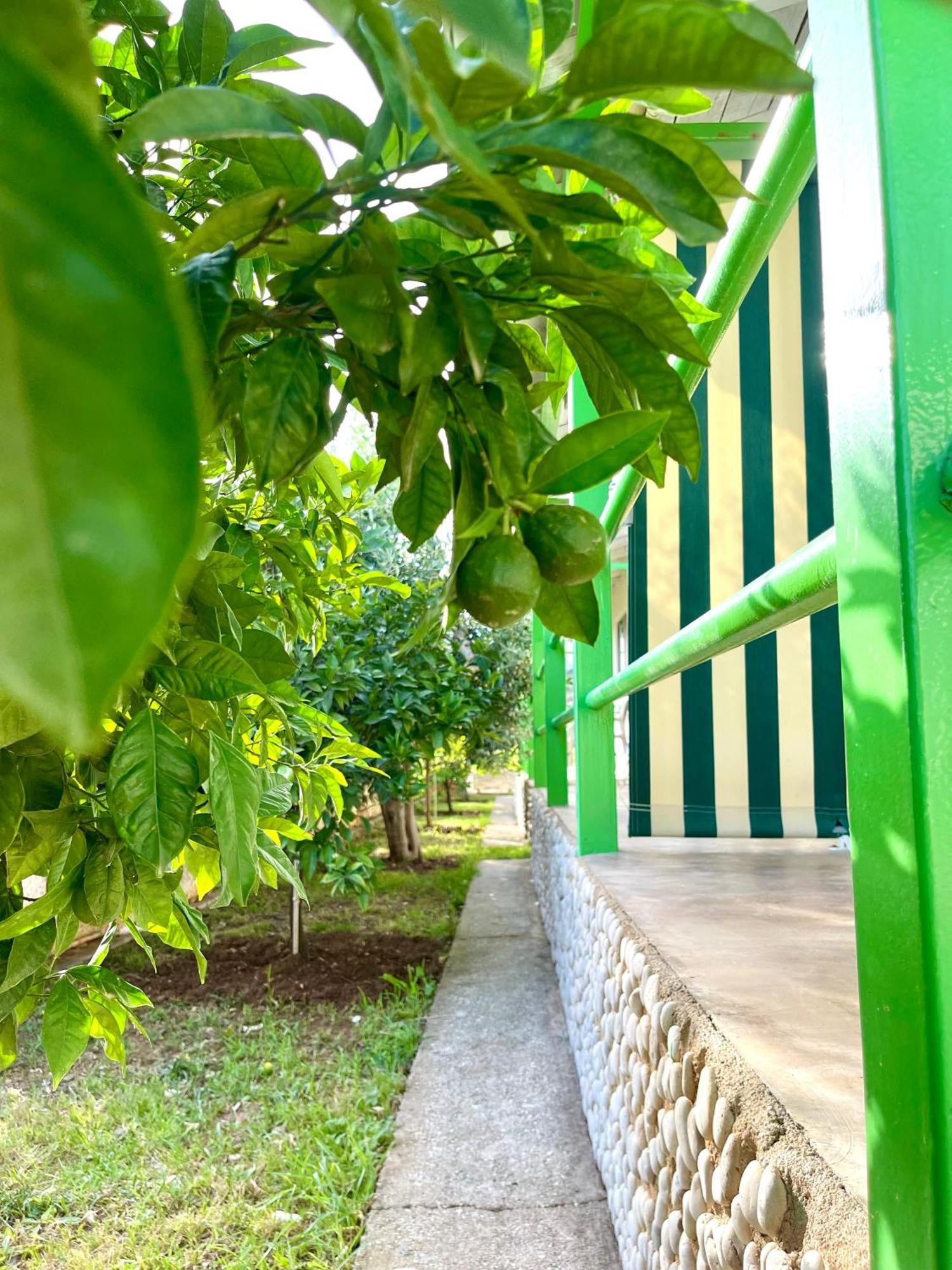 Chalet Ambel Dhërmi Kültér fotó